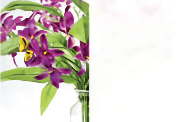 White Light Diffuser - Distinctive Specialties